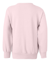 Hanes Youth EcoSmart Crewneck Sweatshirt Additional Angle