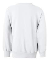 Hanes Youth EcoSmart Crewneck Sweatshirt Alternate View