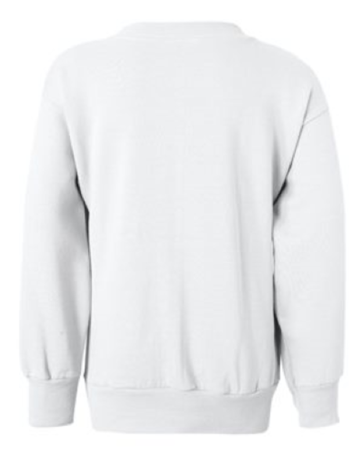 Hanes Youth EcoSmart Crewneck Sweatshirt Alternate View