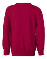 Hanes Youth EcoSmart Crewneck Sweatshirt Feature Close-up