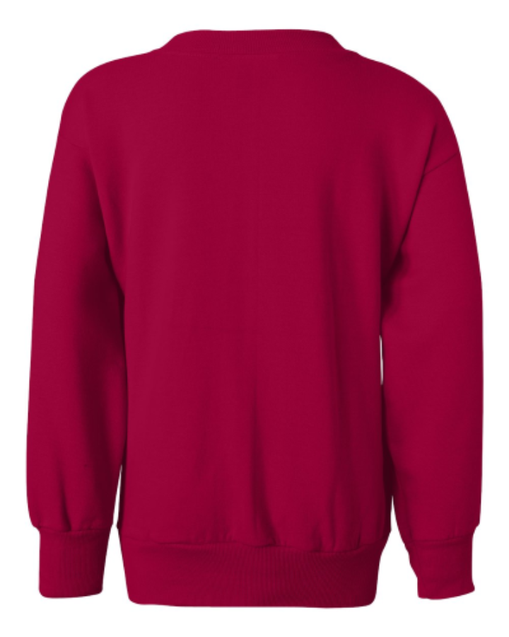 Hanes Youth EcoSmart Crewneck Sweatshirt Feature Close-up