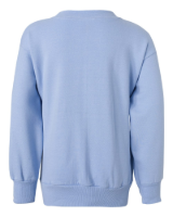 Hanes Youth EcoSmart Crewneck Sweatshirt Close Up Detail