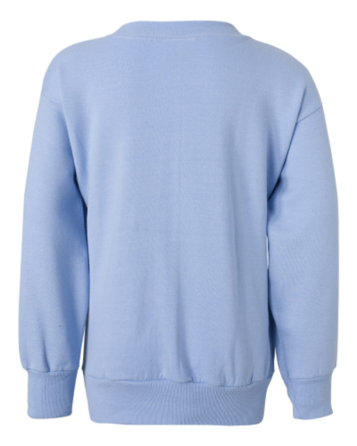 Hanes Youth EcoSmart Crewneck Sweatshirt Close Up Detail