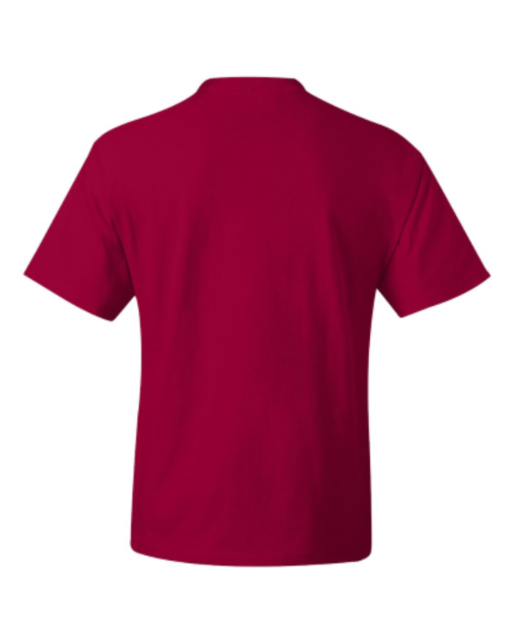 Hanes Beefy-T Tall T-Shirt Additional Angle