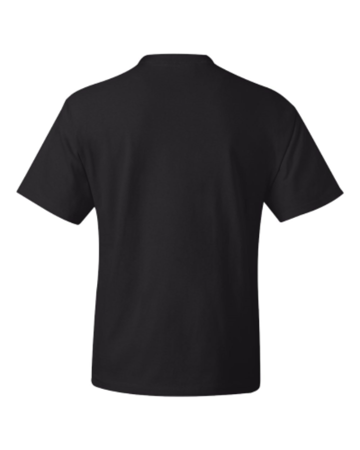 Hanes Beefy-T Tall T-Shirt Alternate View