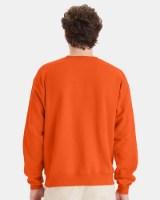 Picture of Hanes Ecosmart Crewneck Sweatshirt