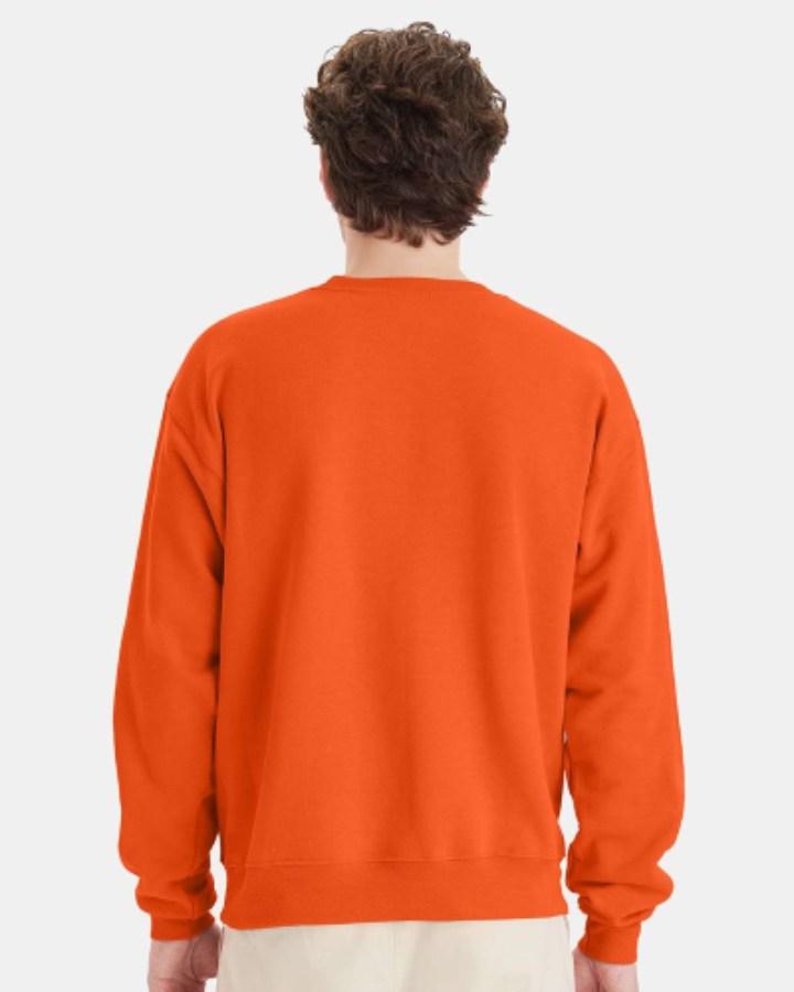 Picture of Hanes Ecosmart Crewneck Sweatshirt