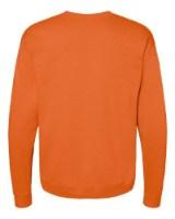 Hanes Ecosmart Crewneck Sweatshirt Additional view