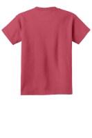 Port & Company Youth Beach Wash Garment-Dye Tee Alternate View