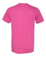 BELLA + CANVAS Triblend Tee Alternate View