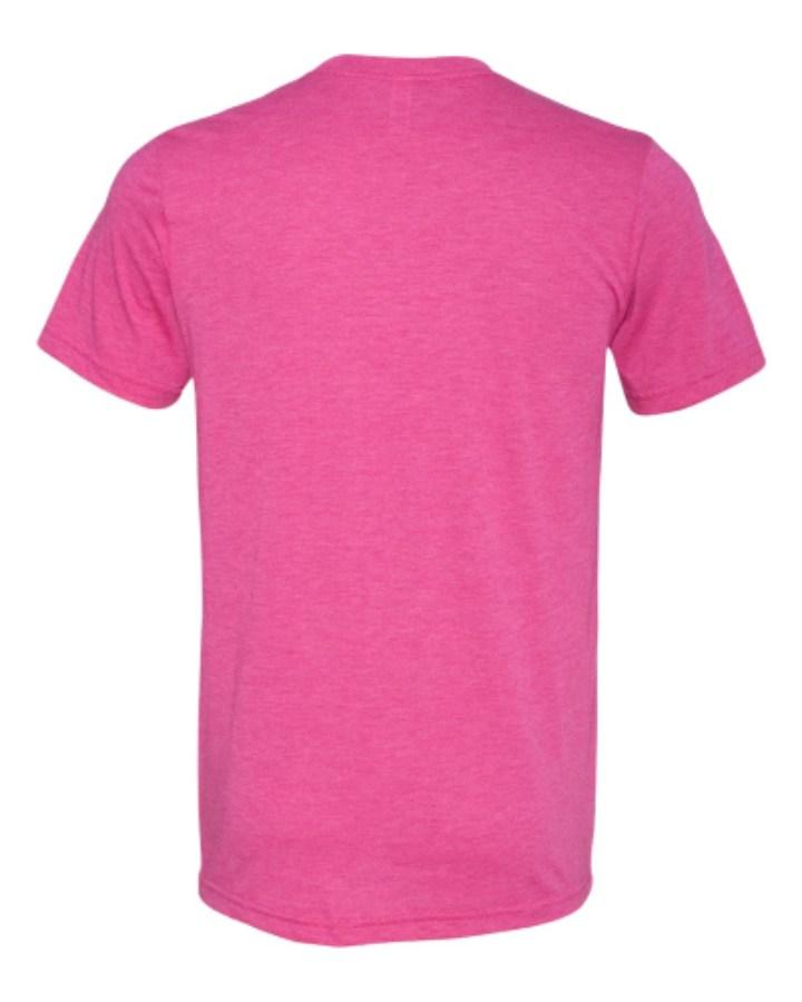 BELLA + CANVAS Triblend Tee Alternate View