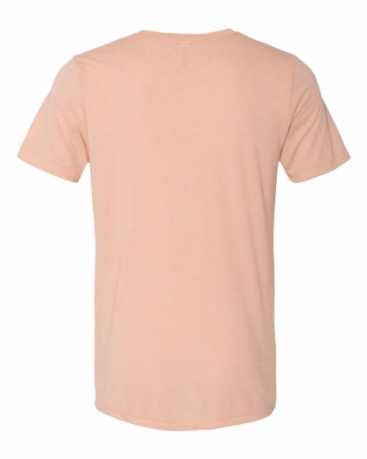 BELLA + CANVAS Triblend Tee Alternate View