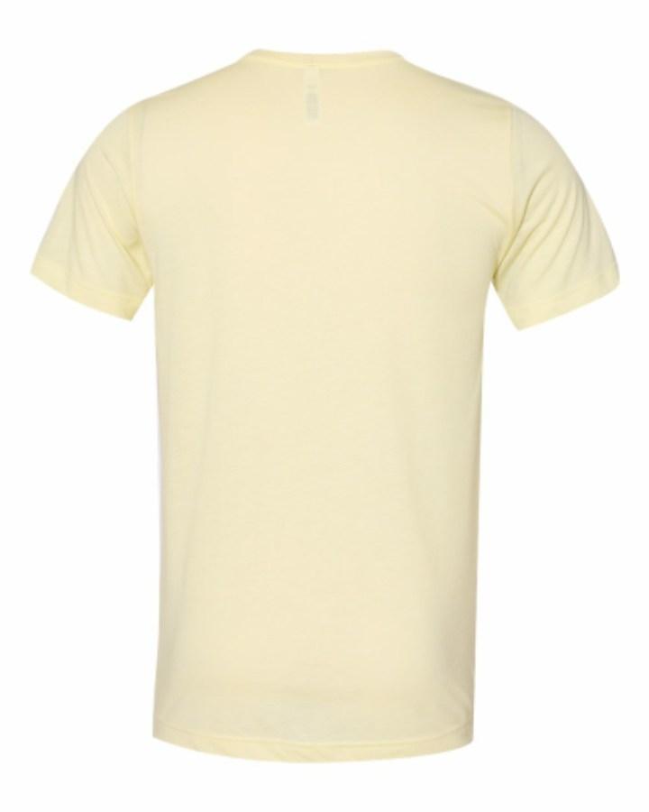 BELLA + CANVAS Triblend Tee Perspective View