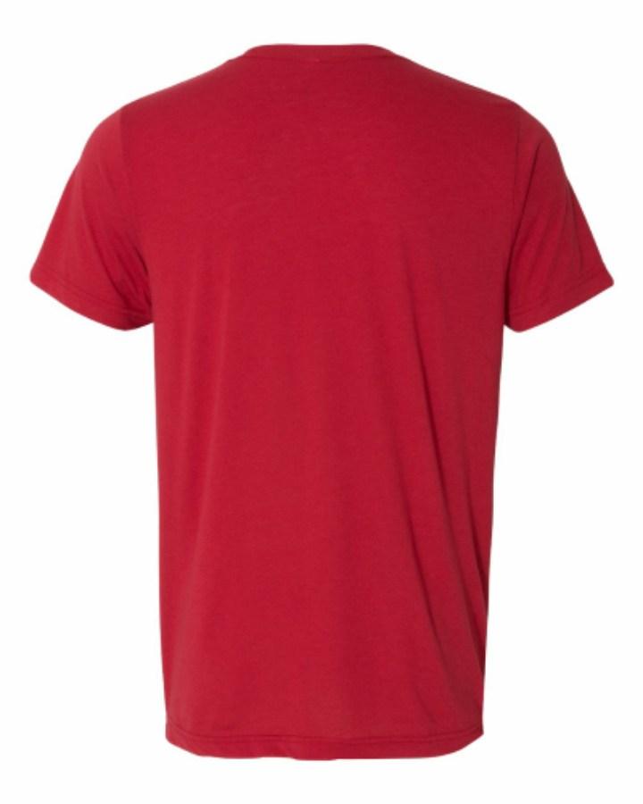 BELLA + CANVAS Triblend Tee Alternate View