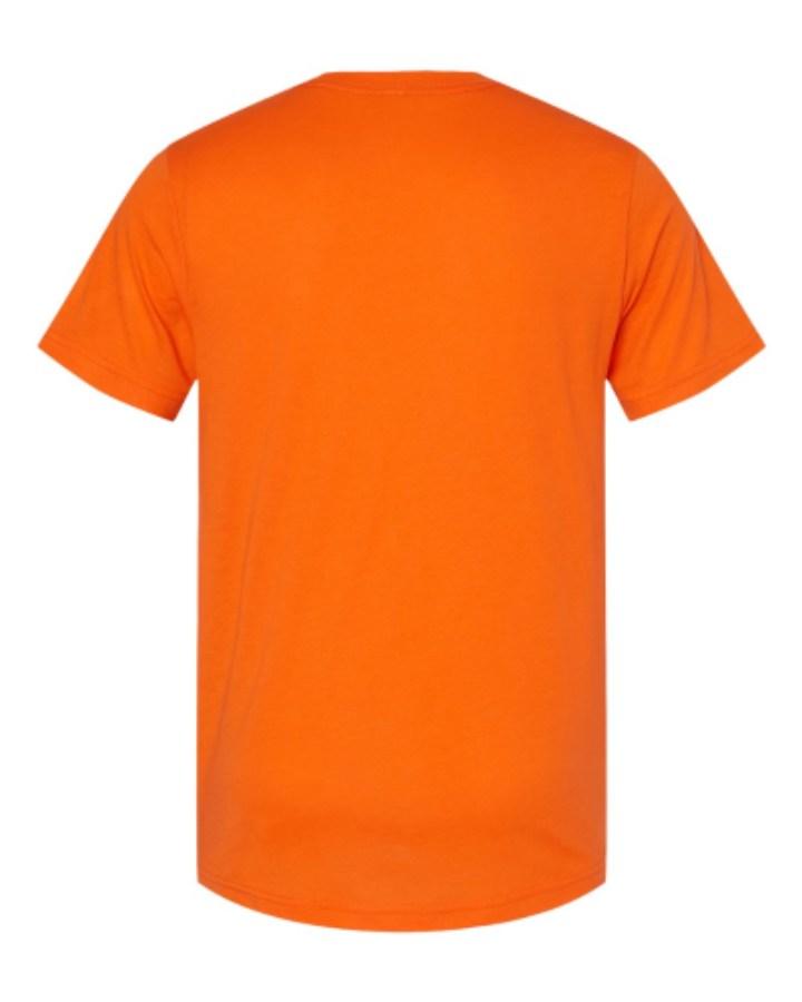 BELLA + CANVAS Triblend Tee Additional view