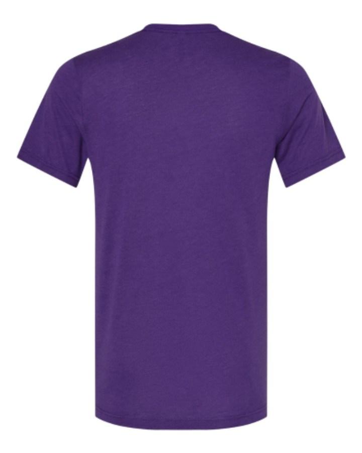 BELLA + CANVAS Triblend Tee Perspective View