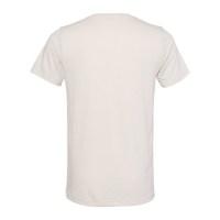 BELLA + CANVAS Triblend V-Neck Tee Alternate View