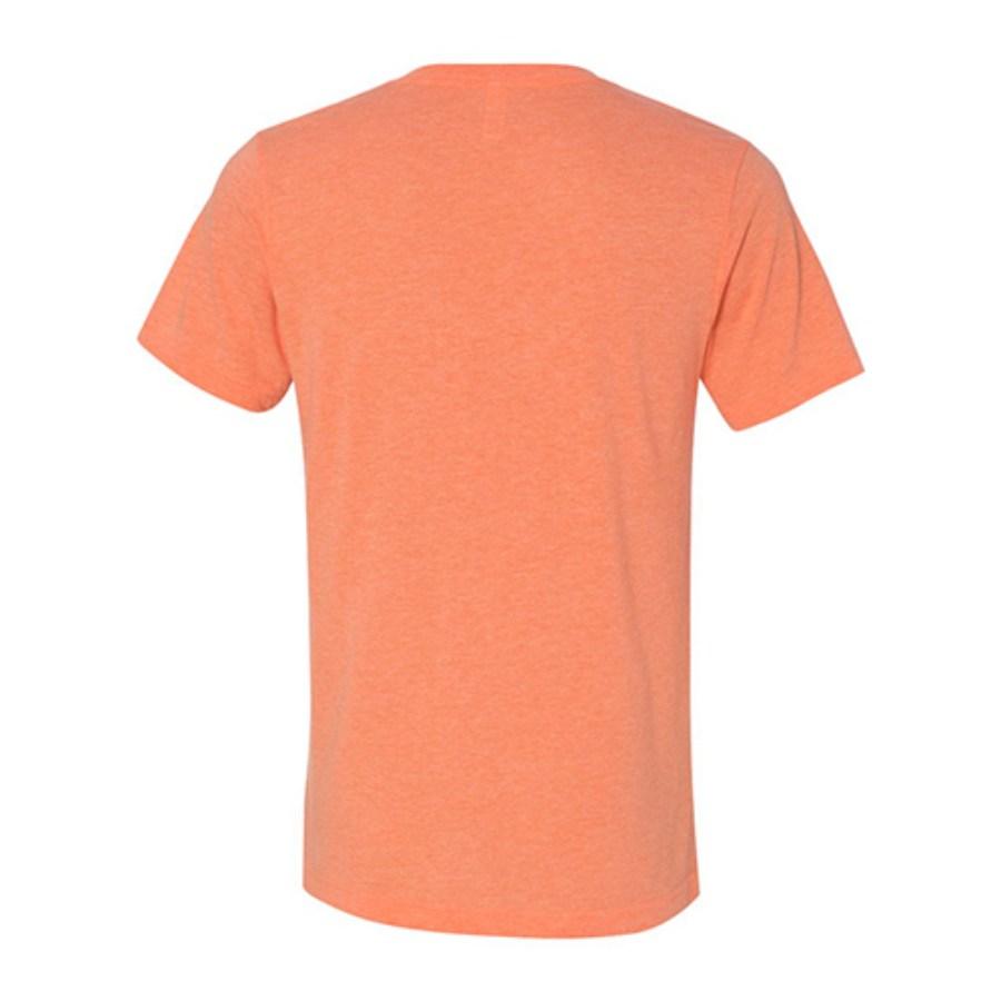 Picture of BELLA + CANVAS Triblend V-Neck Tee