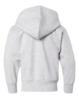 Picture of Hanes Ecosmart® Youth Hooded Sweatshirt