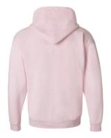 Hanes Ecosmart® Hooded Sweatshirt Perspective View