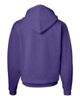 Hanes Ecosmart® Hooded Sweatshirt Alternate View