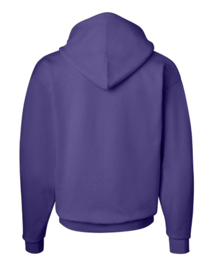 Hanes Ecosmart® Hooded Sweatshirt Alternate View