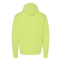 Hanes Ecosmart® Hooded Sweatshirt Perspective View
