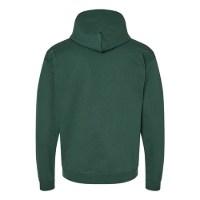 Hanes Ecosmart® Hooded Sweatshirt Alternate View