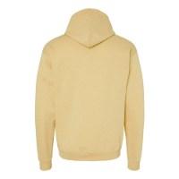 Hanes Ecosmart® Hooded Sweatshirt Perspective View
