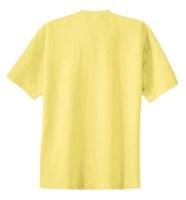 Port & Company Essential T-Shirt Additional Angle