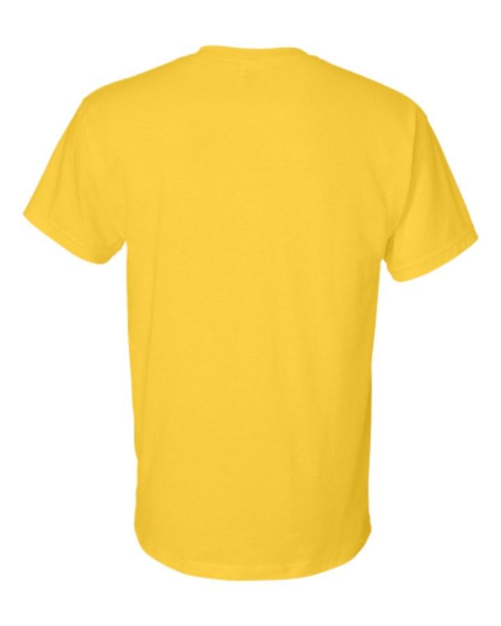 Gildan DryBlend T-Shirt Alternate View