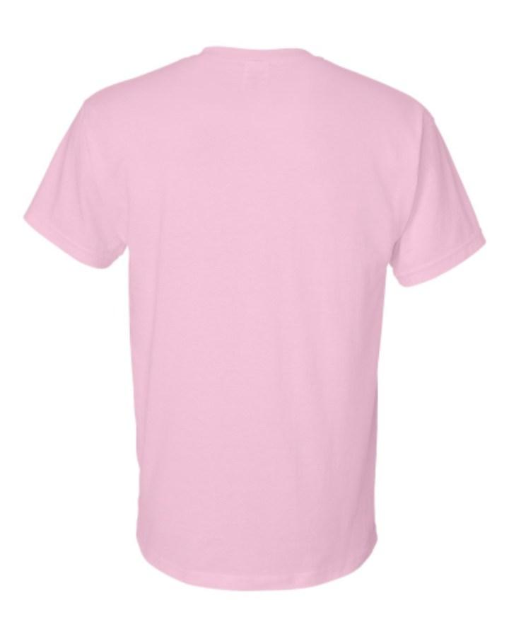 Gildan DryBlend T-Shirt Alternate View