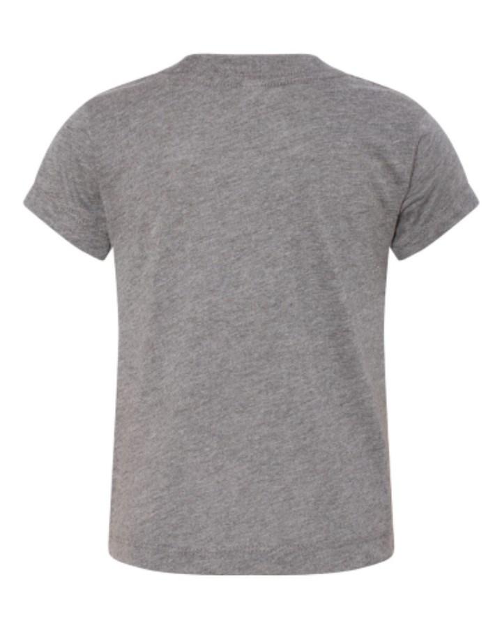 BELLA + CANVAS Toddler Triblend Tee Alternate View