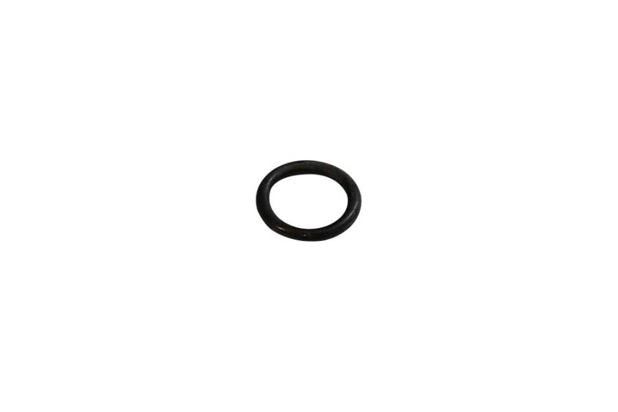 Picture of Ramsey O-Ring