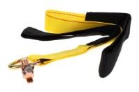 Picture of Ancra Dual Loop Driver Assist Strap