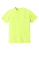 Comfort Colors Heavyweight Ring Spun Tee Alternate View