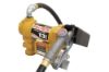 Picture of FILL-RITE Rotary Vane Pump, 1/4 HP, 12V DC