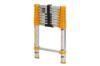 Picture of Xtend+Climb Home Series Telescoping Ladder