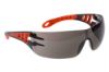 Picture of Portwest Tech Look Safety Glasses, Clear or Smoke