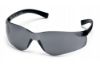 Picture of Pyramex Ztek Safety Glasses