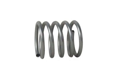 Picture of Century Anti Rattle Spring
