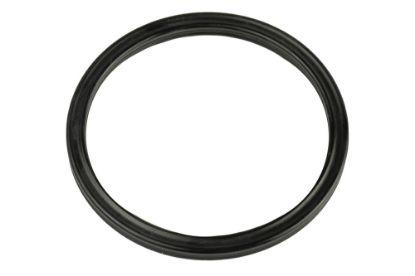 Picture of Ramsey Quad Ring Seal for H-800 Winch
