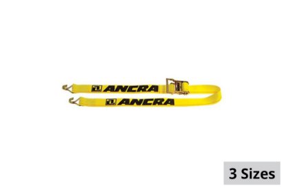 Picture of Ancra Trailer Plate Ratchet Tie Down Assembly w/ Wire Hooks