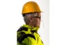 Picture of Portwest Hard Hat Face Shield (Shield Only)