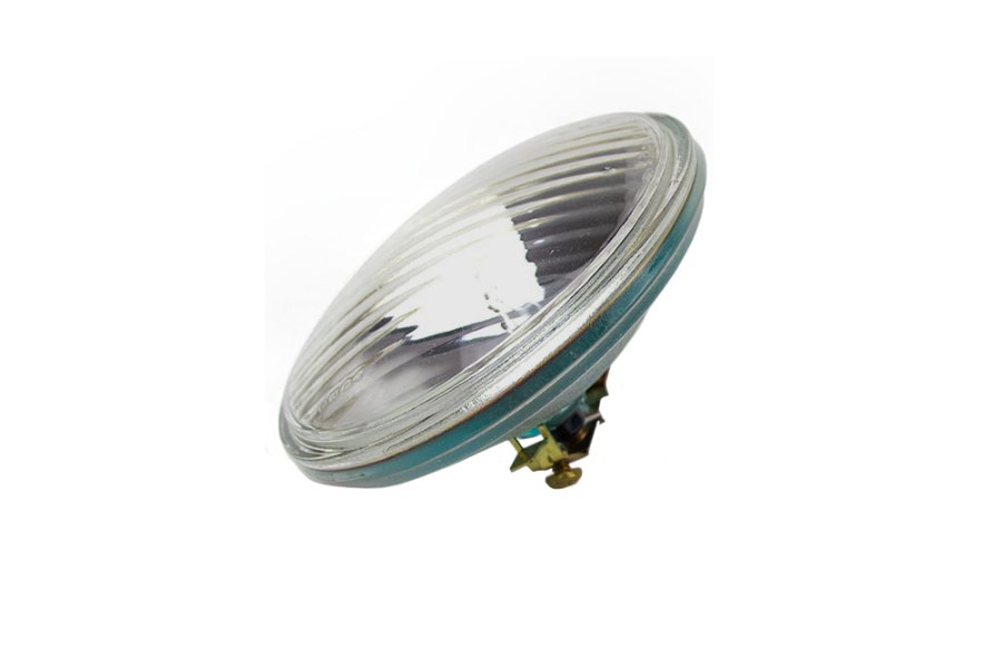 Picture of Edison Light Bulb