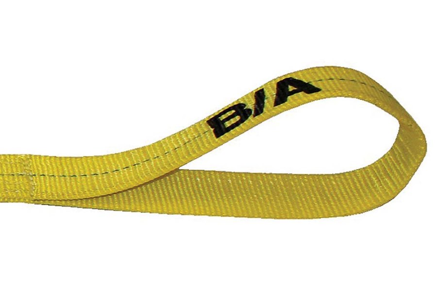 Picture of B/A Flat Eye Sling, 2 Ply, 1" x 12'