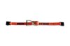 Picture of Ancra 2" Tie-Down Assembly w/ Flat Hooks and Long Handled Ratchet