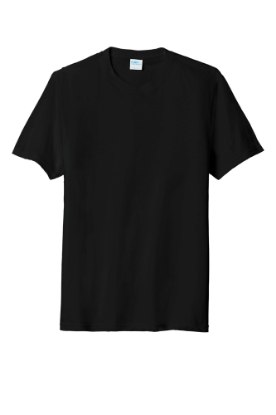 Picture of Port & Company Tri-Blend T-Shirt