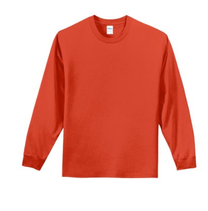 Picture of Port & Company Long Sleeve Essential T-Shirt