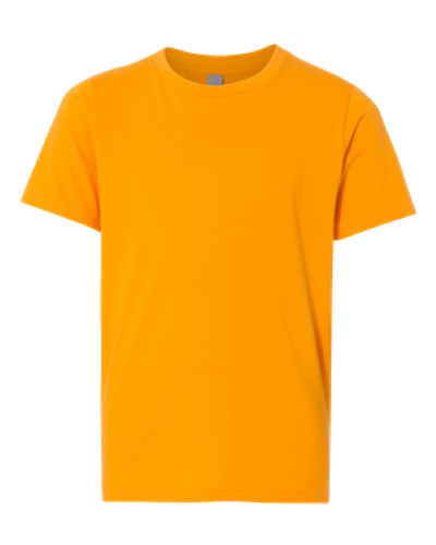 Picture of Next Level Youth Cotton T-Shirt